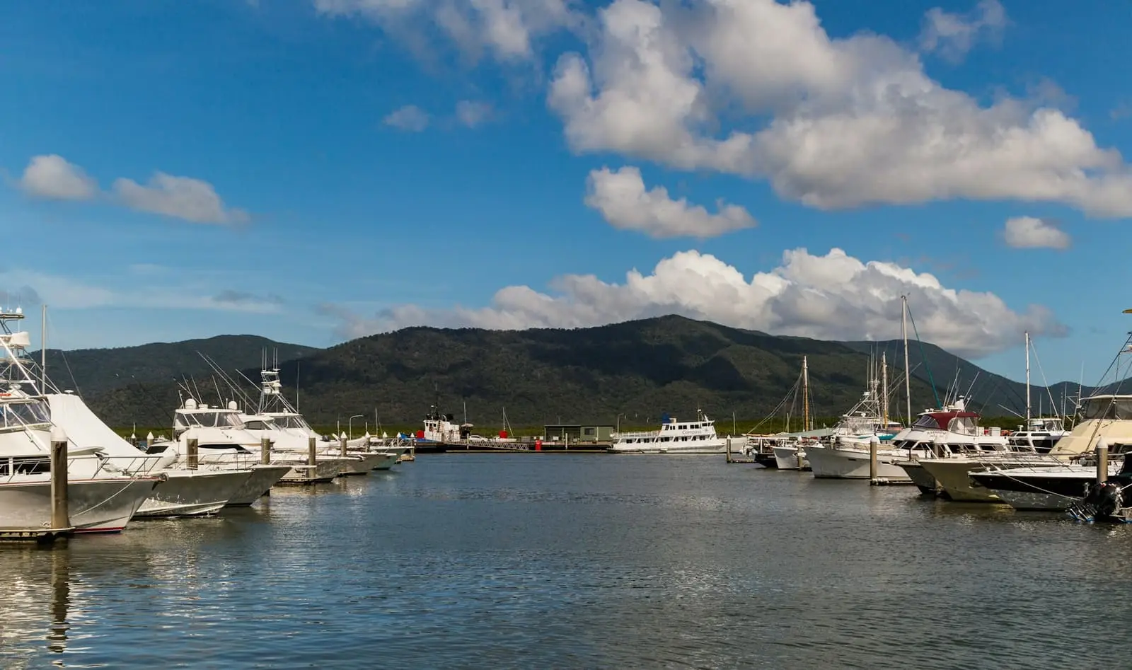 White and black boat on the sea under a blue sky near Cairns, Queensland