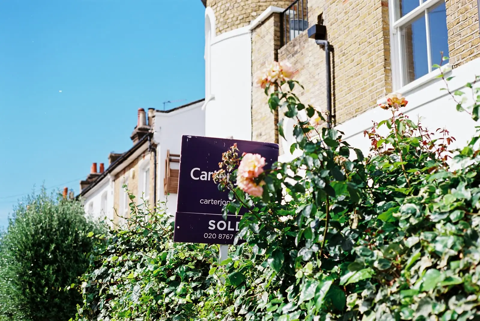 A sold sign and roses in front of a house
